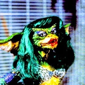 Meet your Posher, Jodi